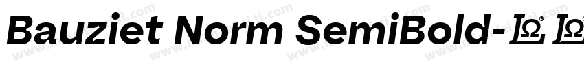 Bauziet Norm SemiBold字体转换
